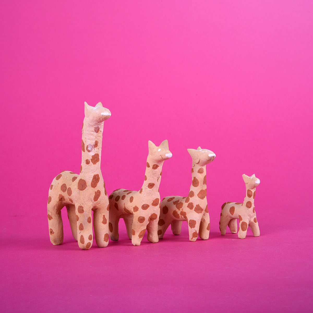 Familia mini jirafas