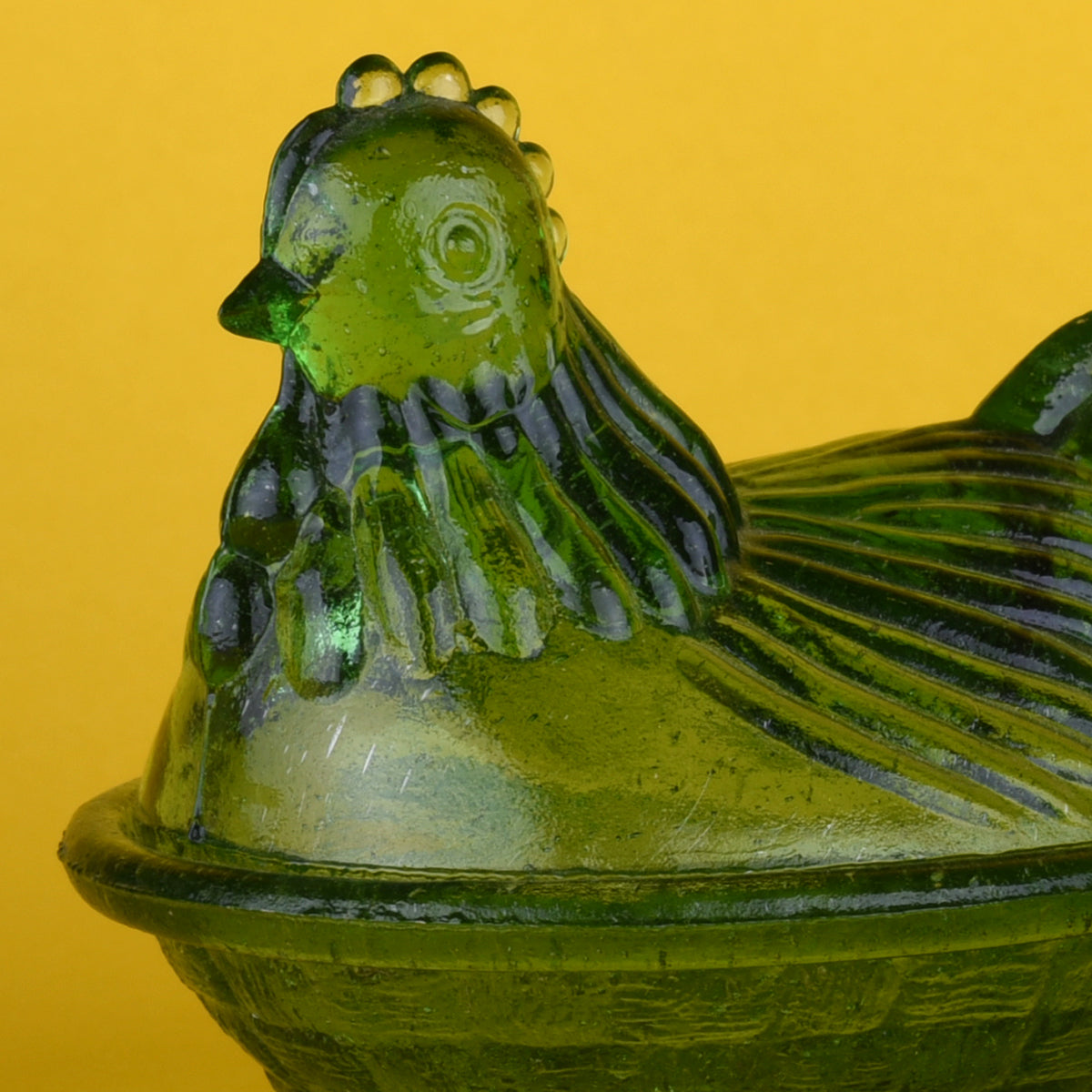 Gallina vidrio verde