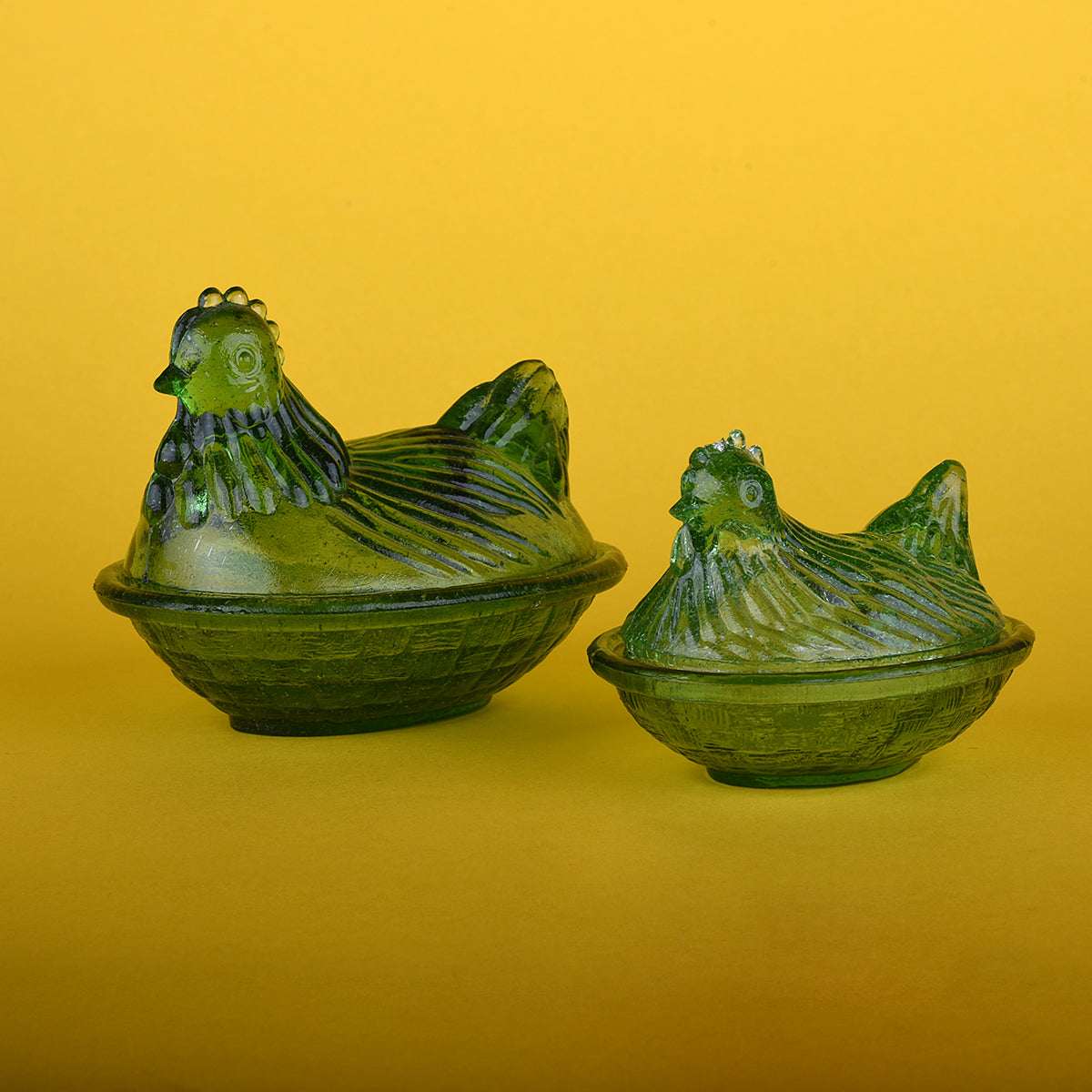 Gallina vidrio verde