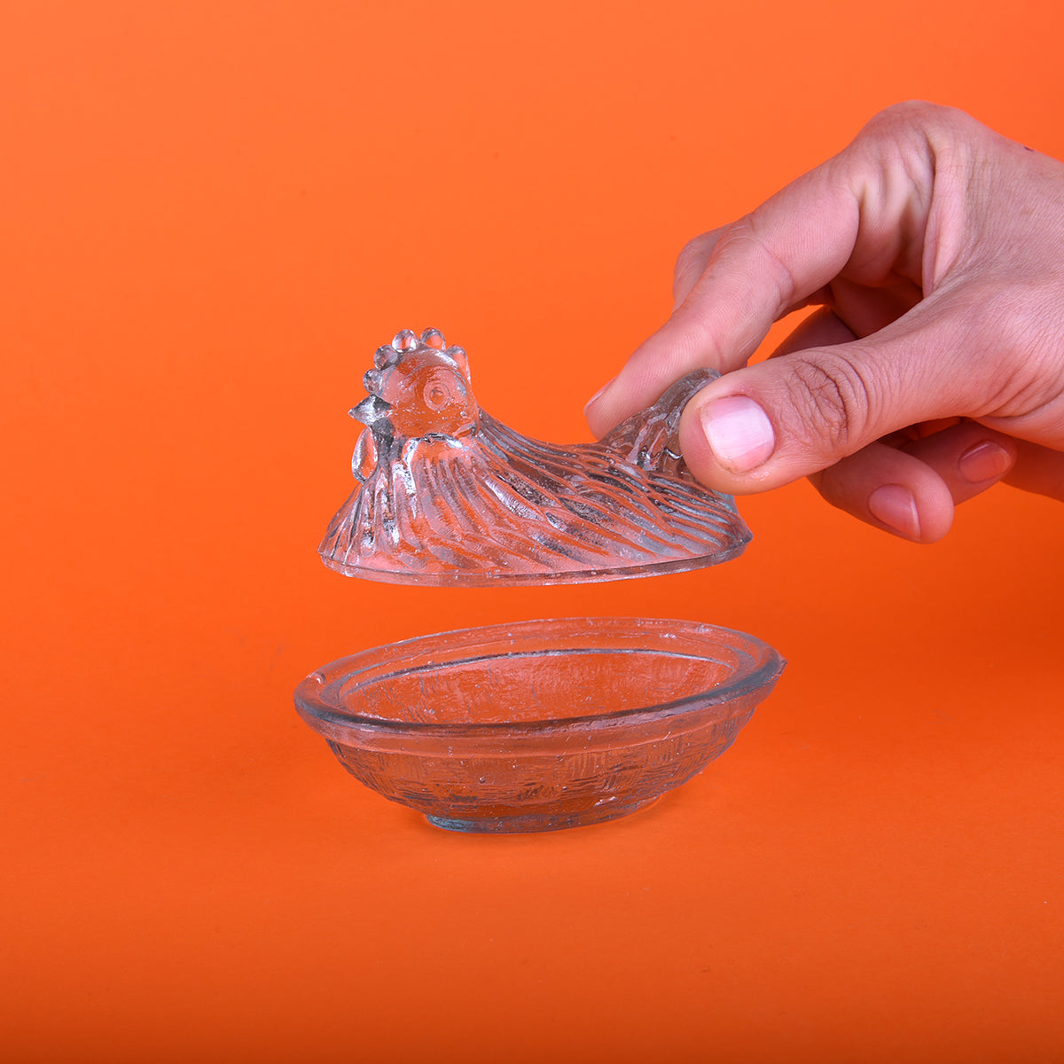 Gallina vidrio transparente