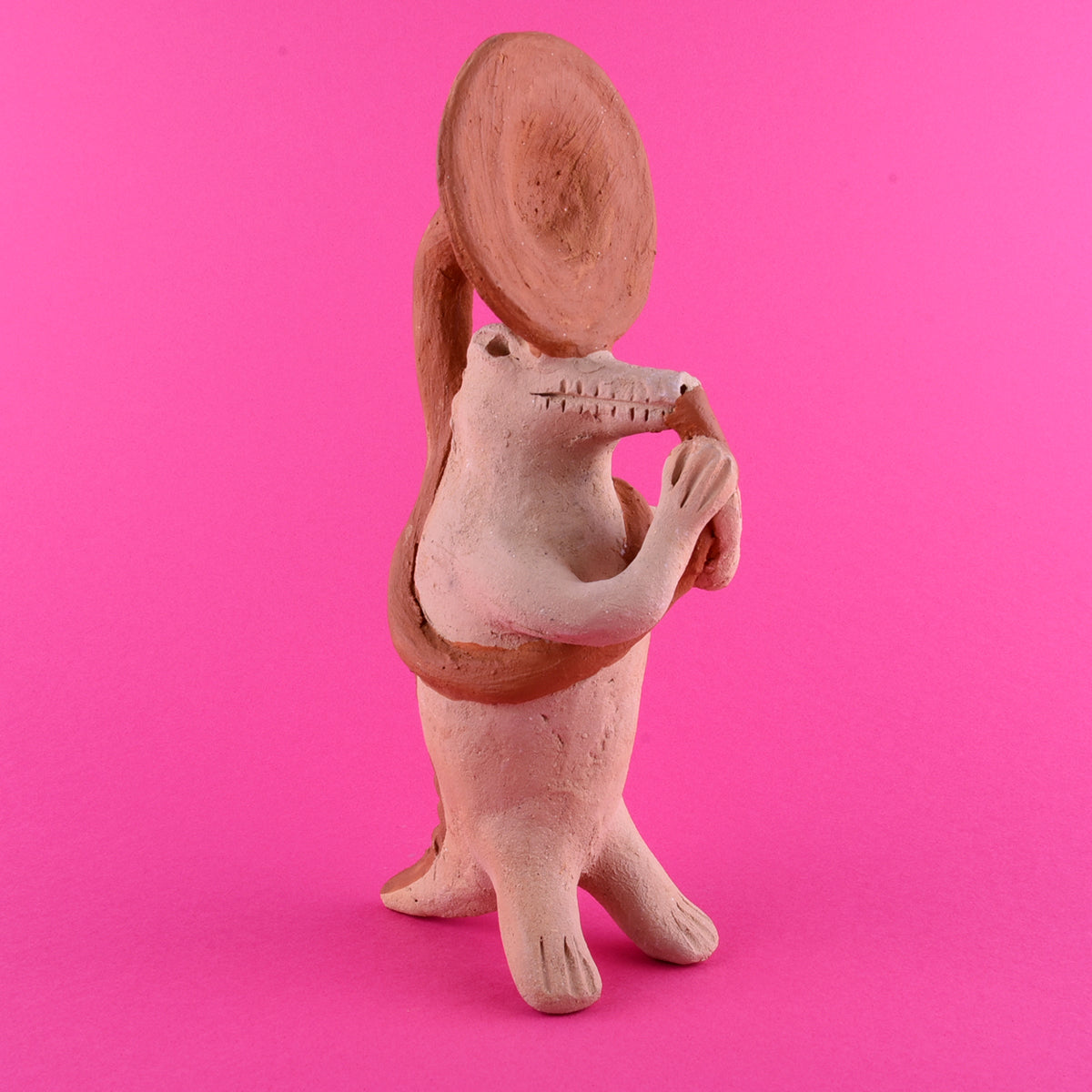 Cocodrilo banda grande