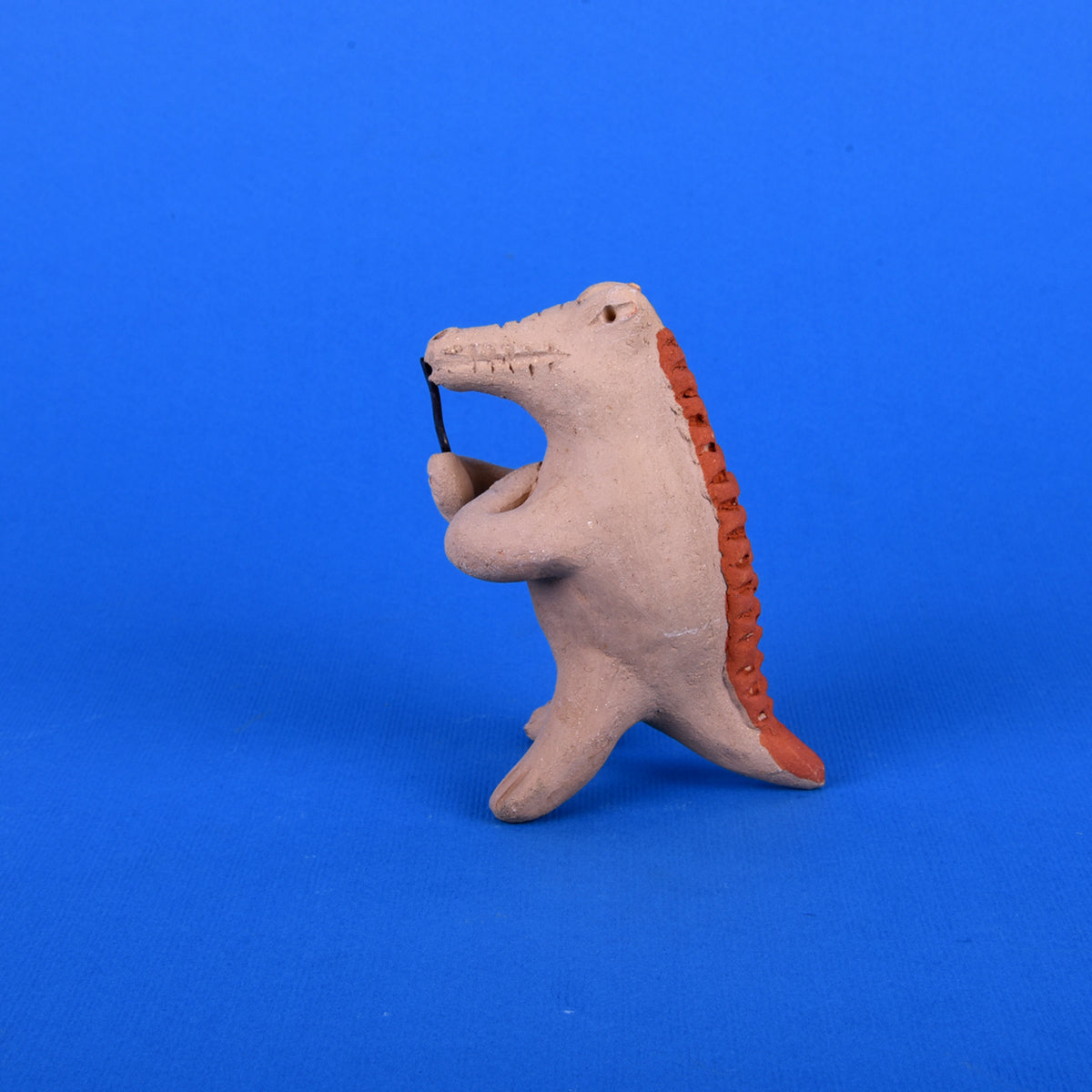 Cocodrilo banda chica