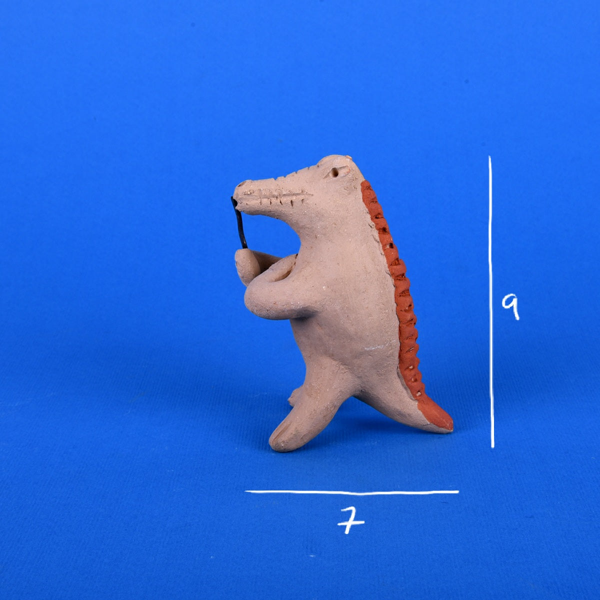 Cocodrilo banda chica