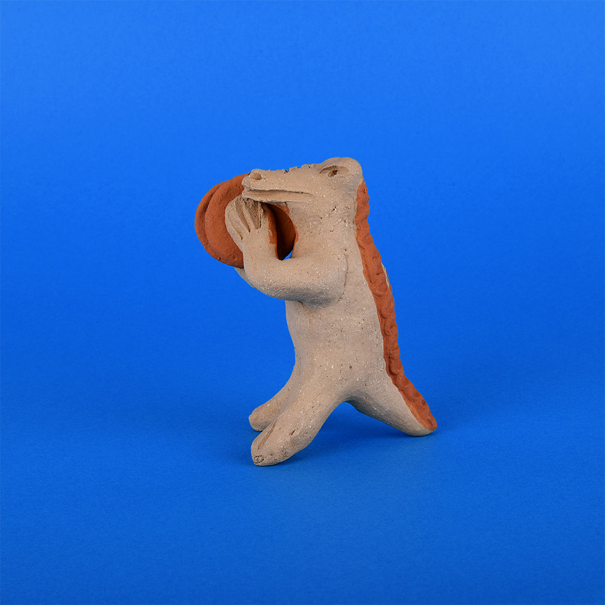 Cocodrilo banda chica