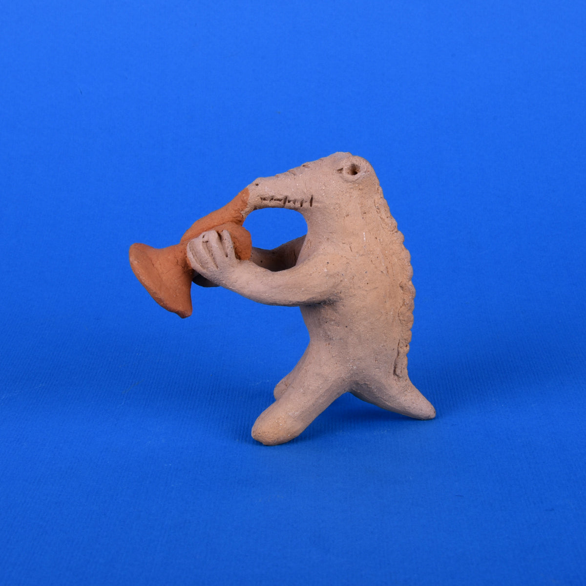 Cocodrilo banda chica