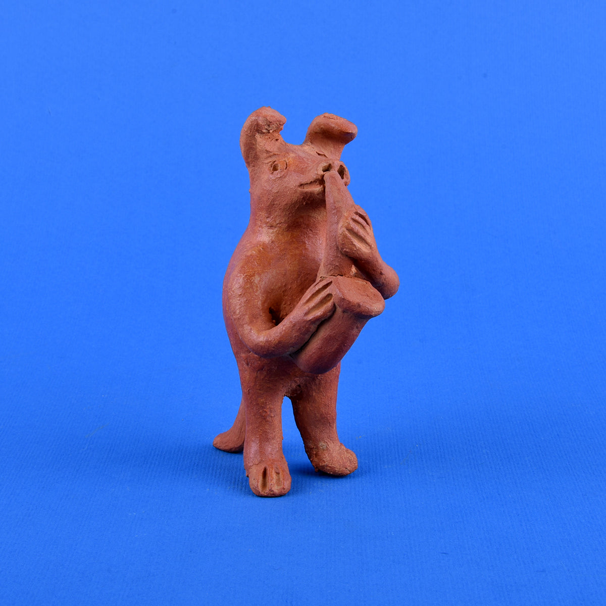 Nahuales banda chica