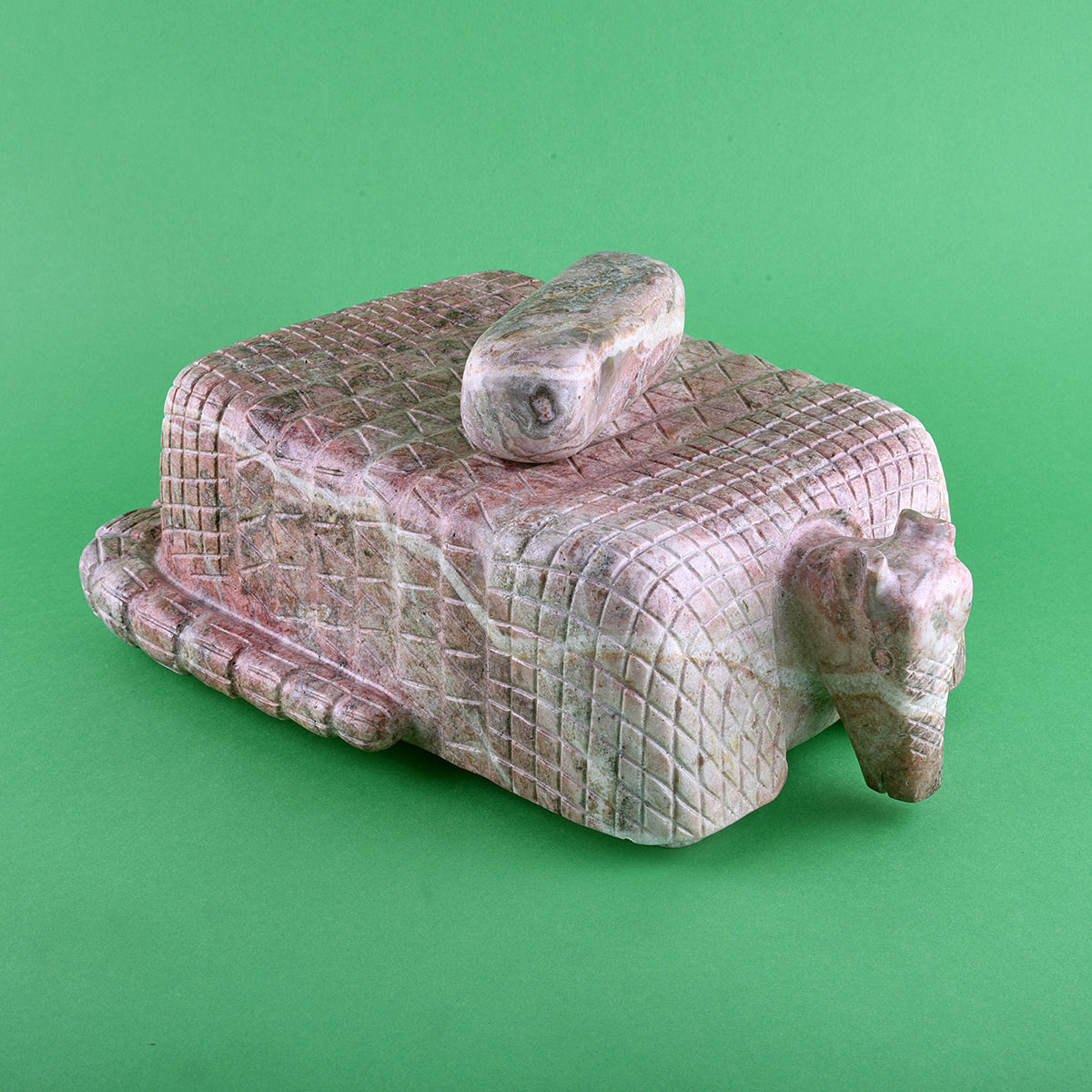 Metate armadillo