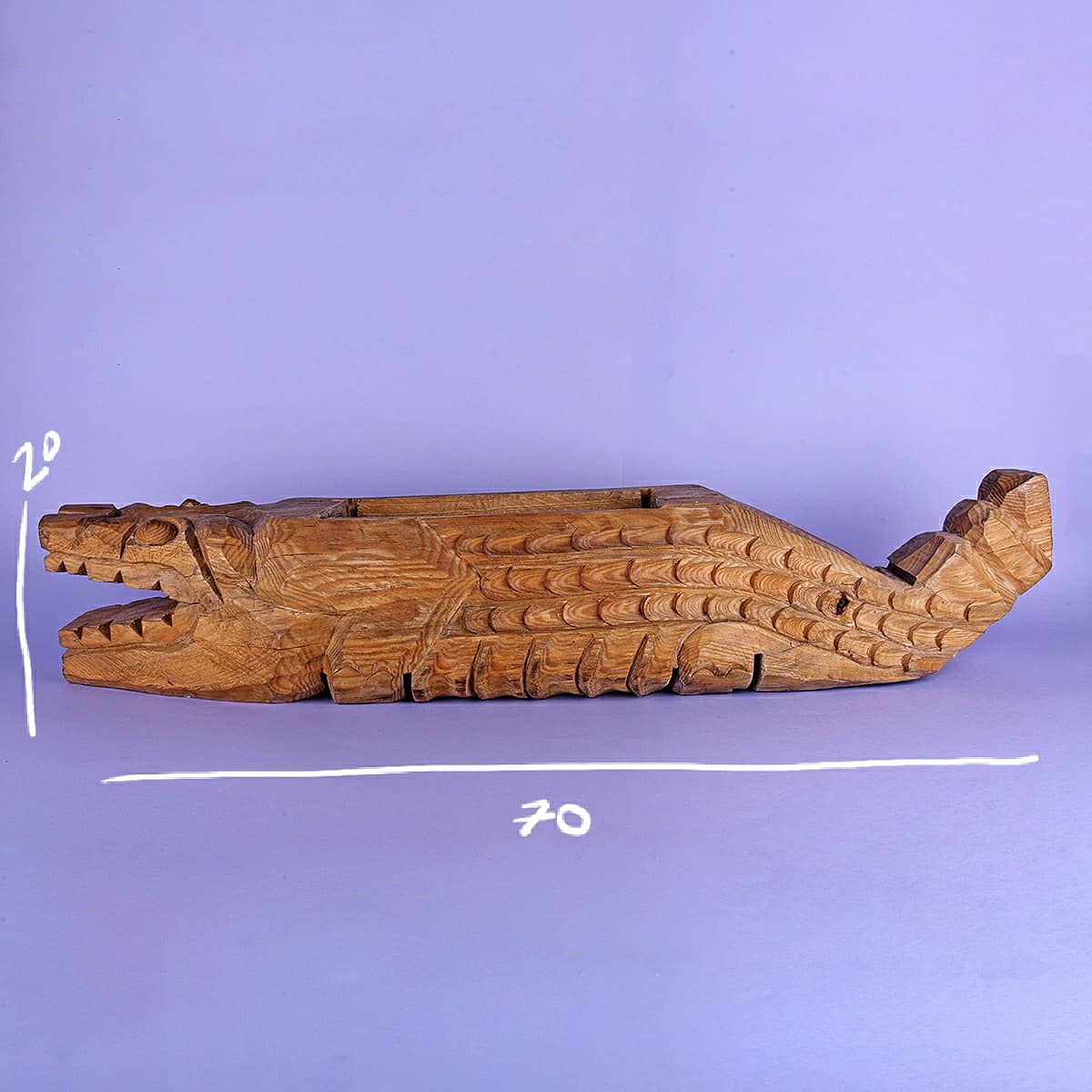 Maceta cocodrilo