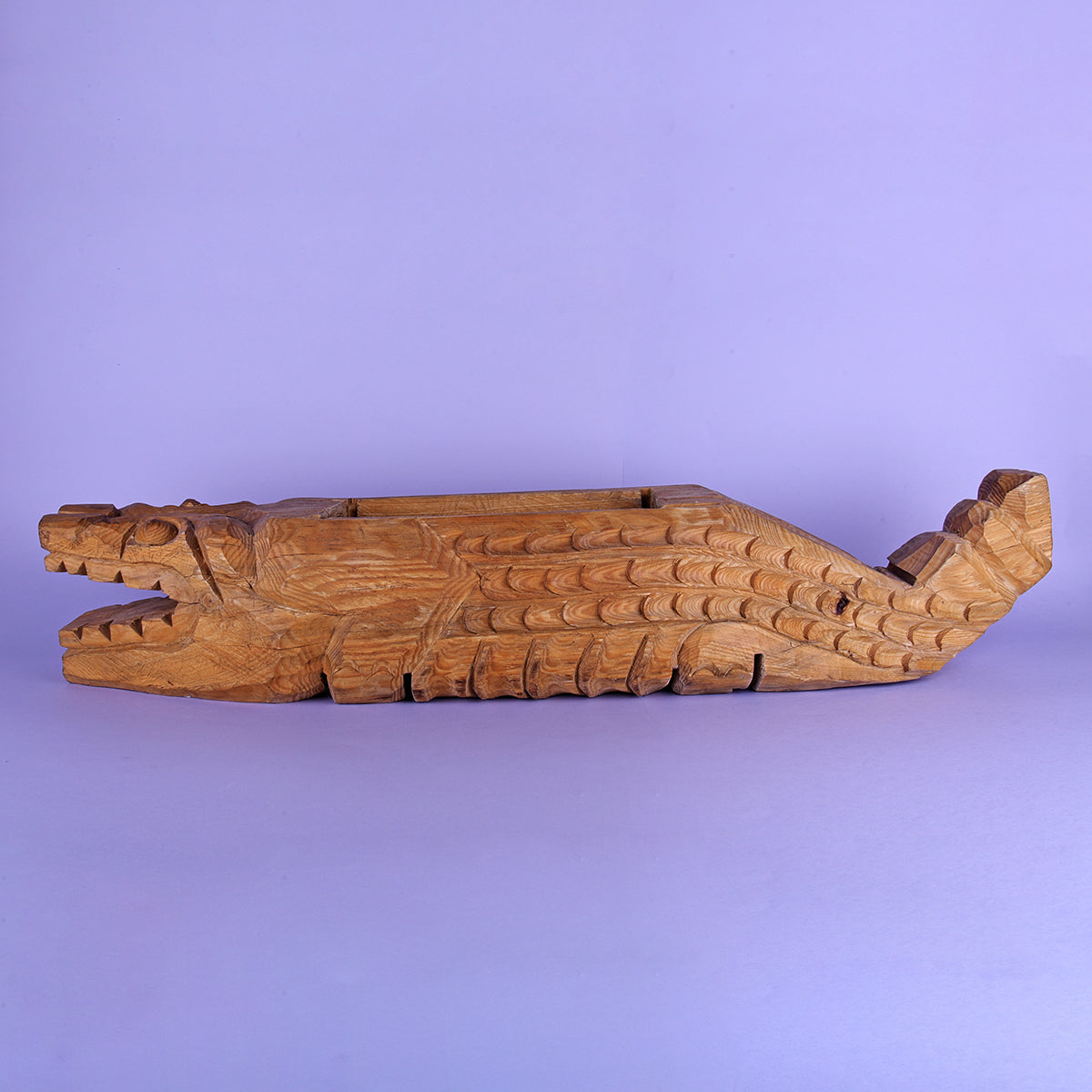 Maceta cocodrilo