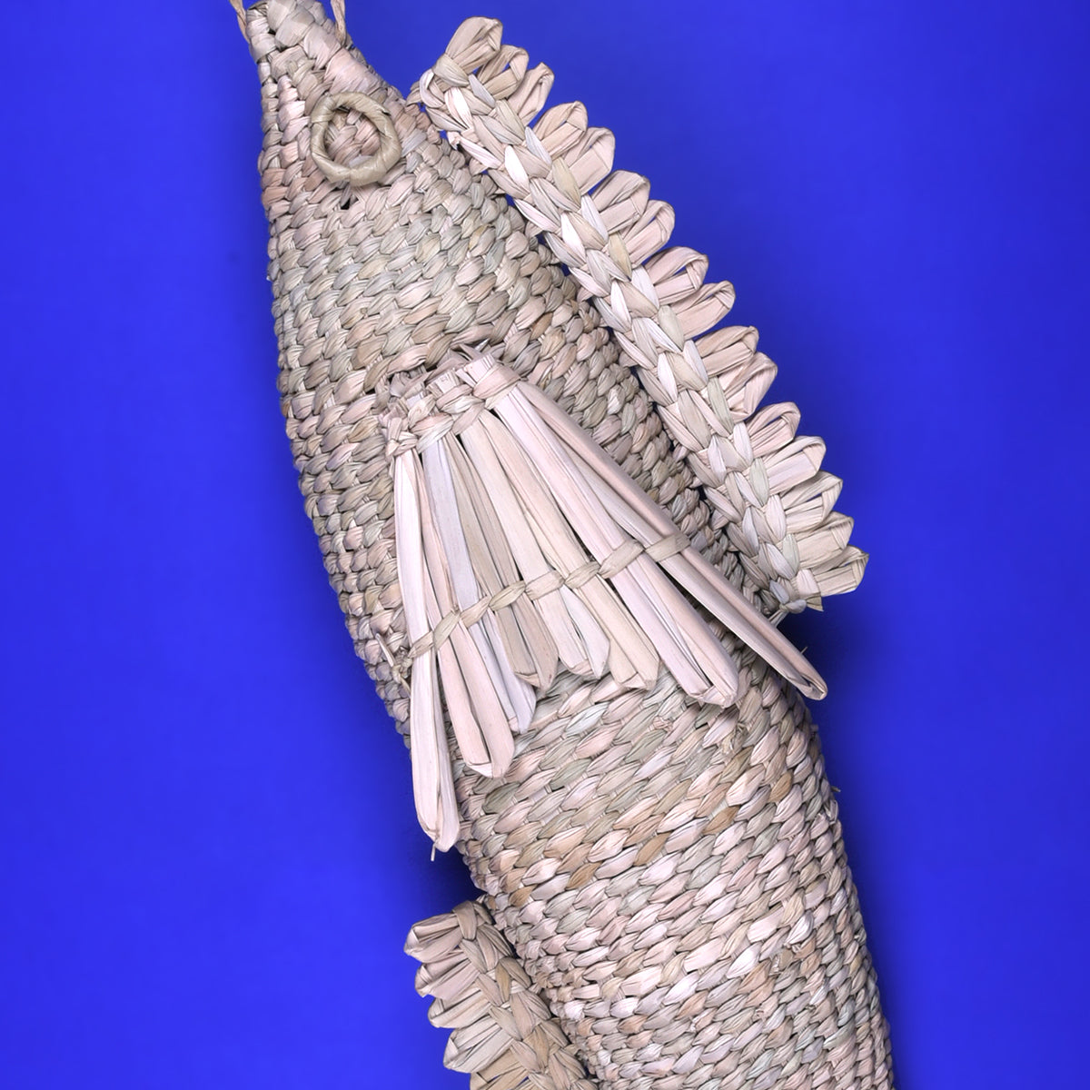 Pescado gigante