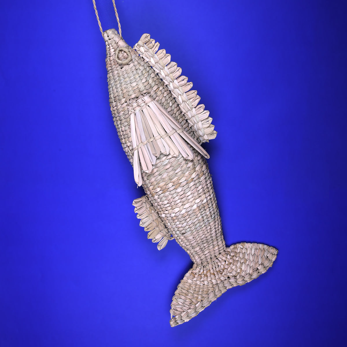 Pescado gigante
