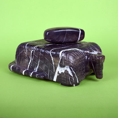 Metate armadillo