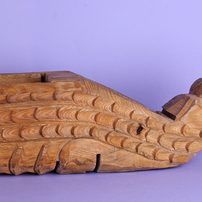Maceta cocodrilo